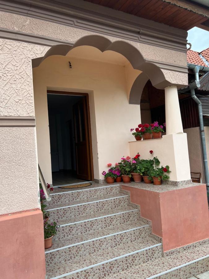 Vila Casa Andrei Cîrţişoara Exteriér fotografie