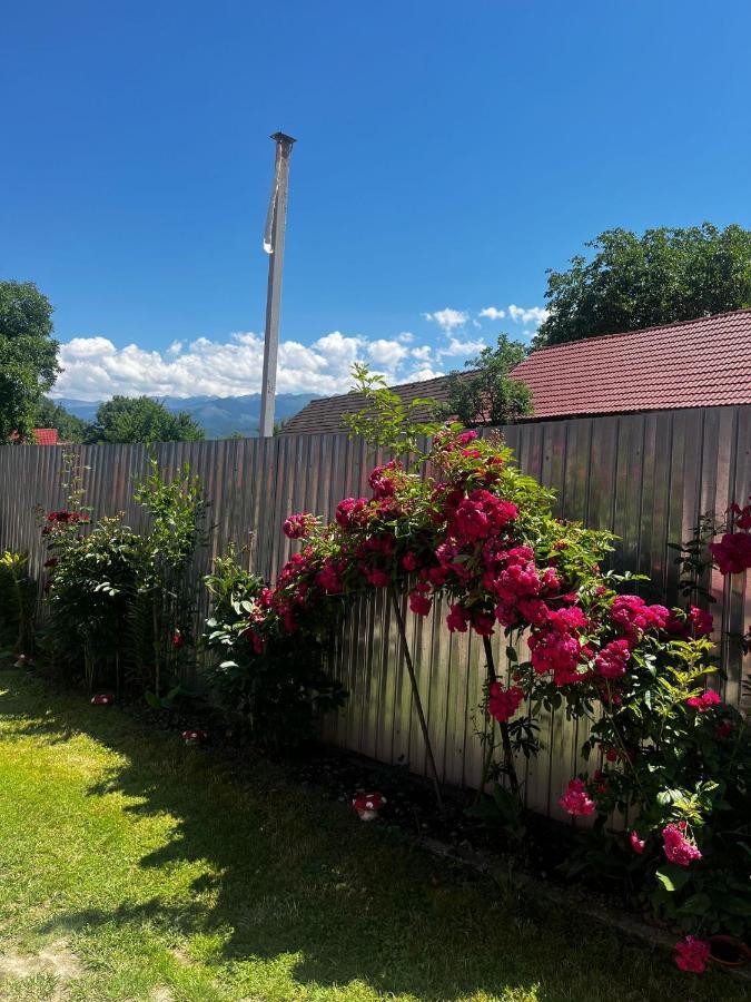 Vila Casa Andrei Cîrţişoara Exteriér fotografie