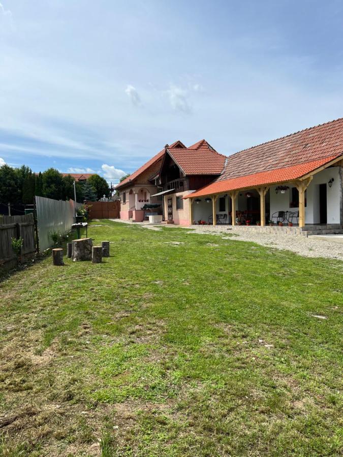 Vila Casa Andrei Cîrţişoara Exteriér fotografie